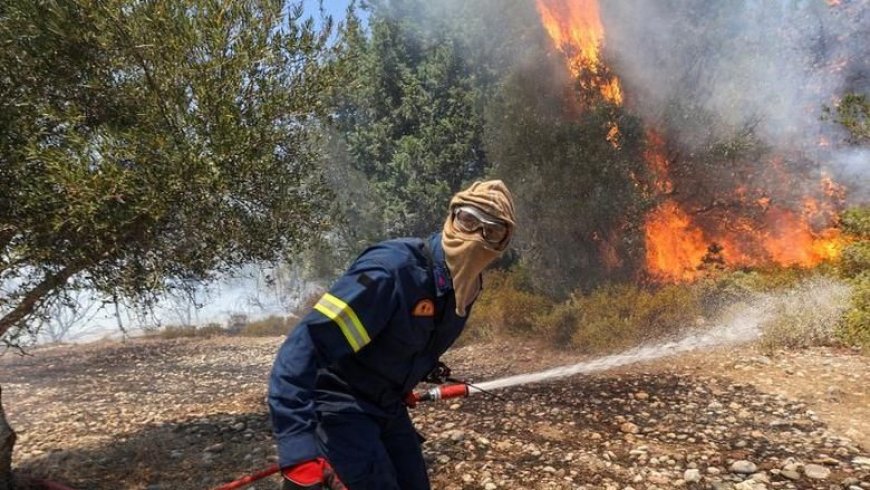 اكثر من 40 شخص يلقون حذفهم بسبب حرائق الغابات في دول البحر المتوسط