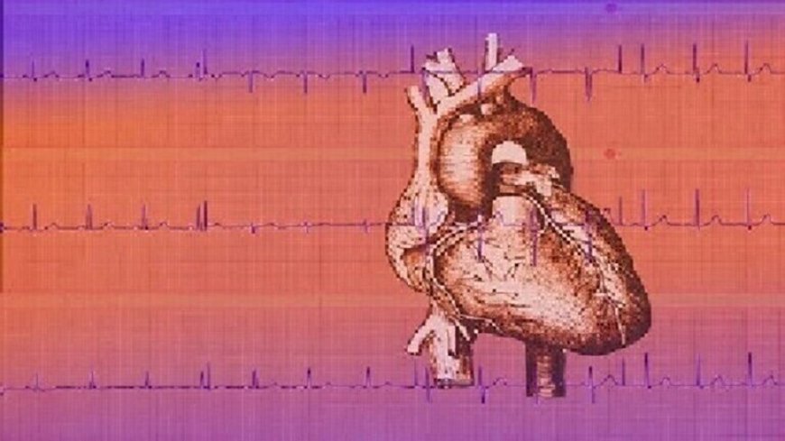 تعرف على دور الطحالب الحمراء في الحماية من قصور القلب